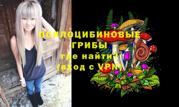 стаф Богданович