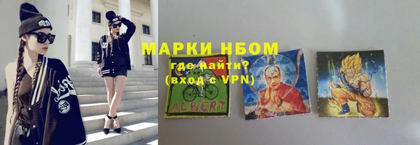 шишки Богородицк